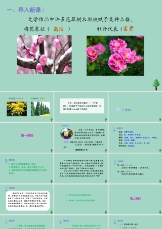 秋六年级语文上册 第一单元 2 丁香结上课课件 新人教版-新人教版小学六年级上册语文课件