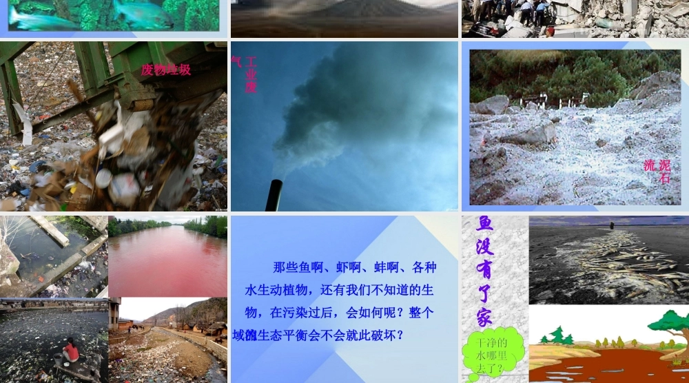 秋四年级科学上册 3.2《鱼儿生活的好吗》课件3 大象版-大象版小学四年级上册自然科学课件