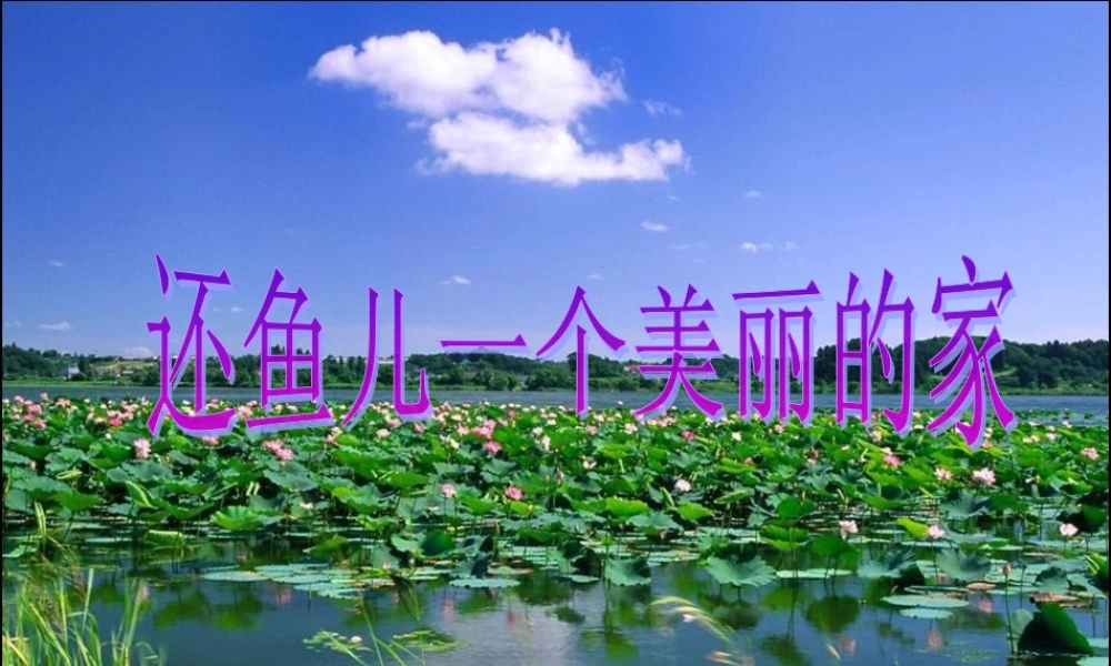 秋四年级科学上册 3.3《还鱼儿一个美丽的家》课件1 大象版-大象版小学四年级上册自然科学课件