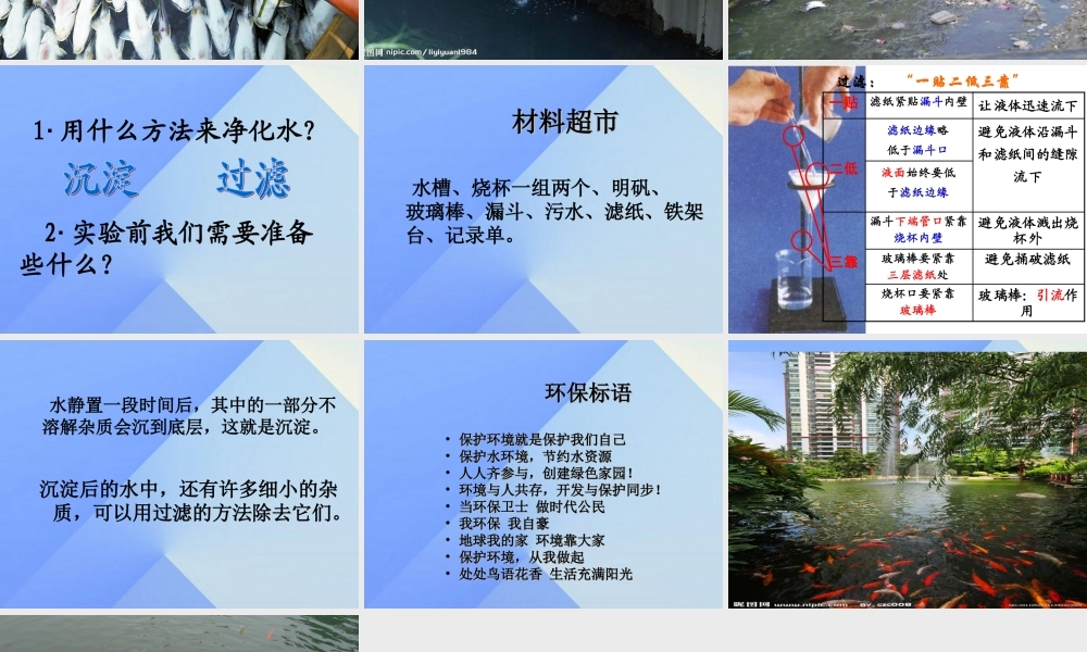 秋四年级科学上册 3.3《还鱼儿一个美丽的家》课件1 大象版-大象版小学四年级上册自然科学课件