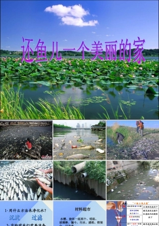 秋四年级科学上册 3.3《还鱼儿一个美丽的家》课件1 大象版-大象版小学四年级上册自然科学课件