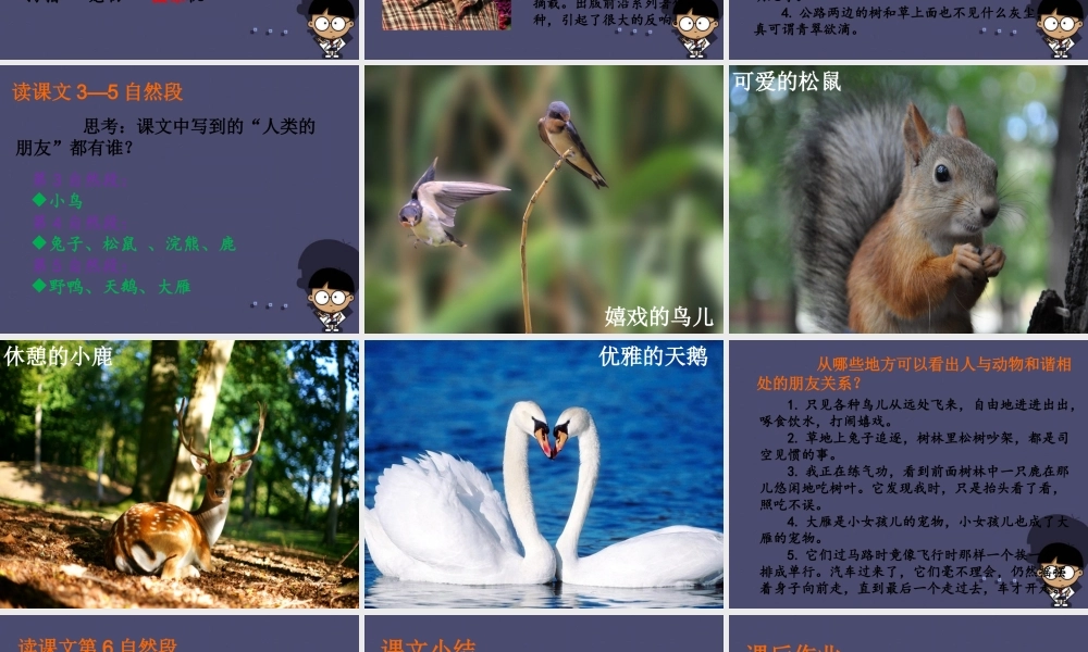 秋五年级语文上册《人类的朋友》课件2 冀教版-冀教版小学五年级上册语文课件