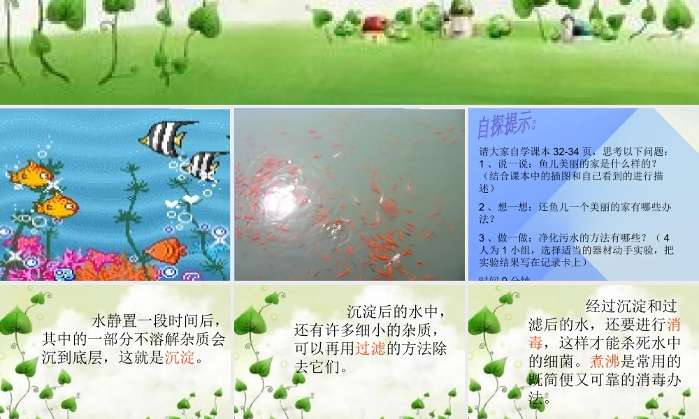 秋四年级科学上册 3.3《还鱼儿一个美丽的家》课件3 大象版-大象版小学四年级上册自然科学课件