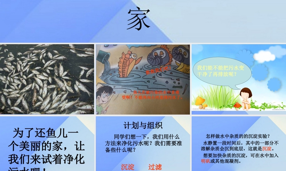 秋四年级科学上册 3.3《还鱼儿一个美丽的家》课件4 大象版-大象版小学四年级上册自然科学课件