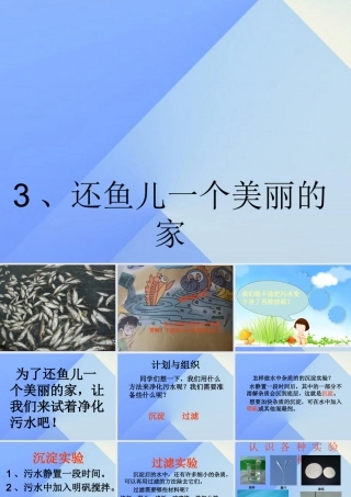 秋四年级科学上册 3.3《还鱼儿一个美丽的家》课件4 大象版-大象版小学四年级上册自然科学课件