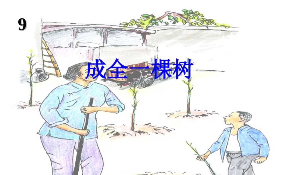 秋六年级语文上册《成全一棵树》课件1 冀教版-冀教版小学六年级上册语文课件