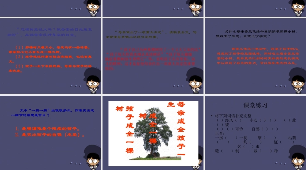 秋六年级语文上册《成全一棵树》课件1 冀教版-冀教版小学六年级上册语文课件