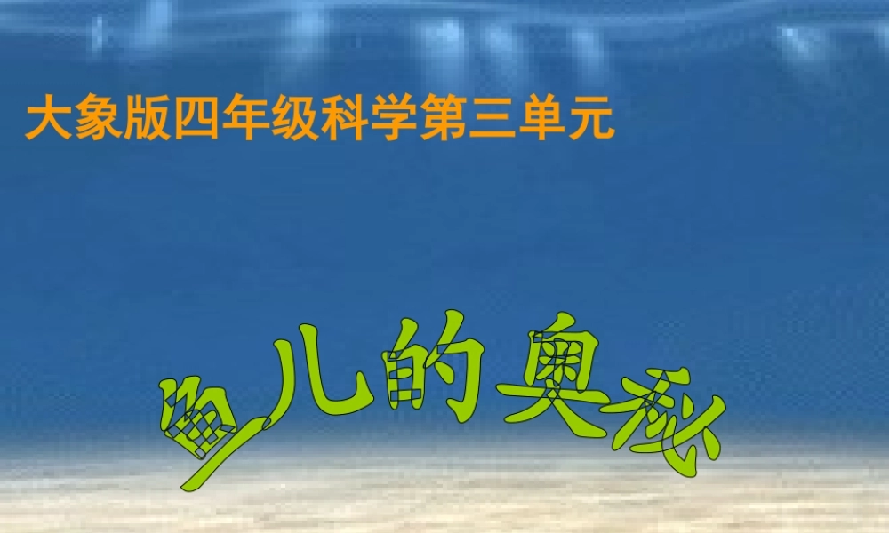 秋四年级科学上册 3.4《鱼儿的奥秘》课件1 大象版-大象版小学四年级上册自然科学课件