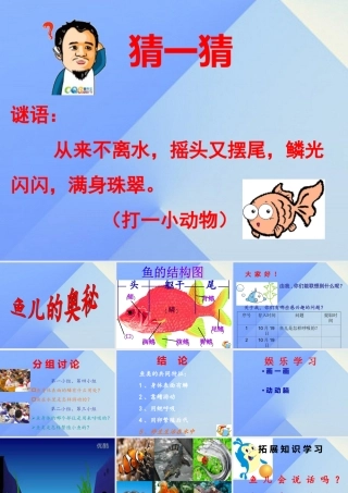 秋四年级科学上册 3.4《鱼儿的奥秘》课件3 大象版-大象版小学四年级上册自然科学课件