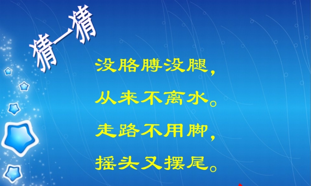 秋四年级科学上册 3.4《鱼儿的奥秘》课件5 大象版-大象版小学四年级上册自然科学课件