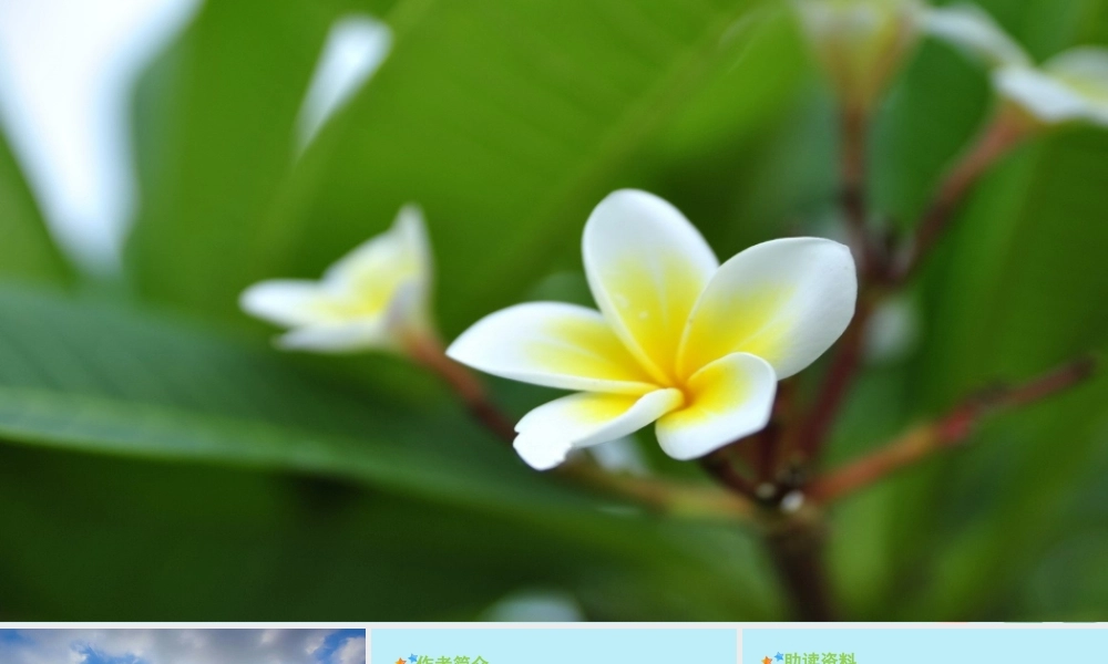 秋六年级语文上册 第一单元 4 花之歌教学课件 新人教版-新人教版小学六年级上册语文课件