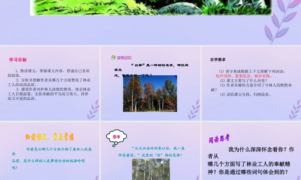 秋六年级语文上册 第一单元 高尚 3 白桦林的低语教学课件 北师大版-北师大版小学六年级上册语文课件