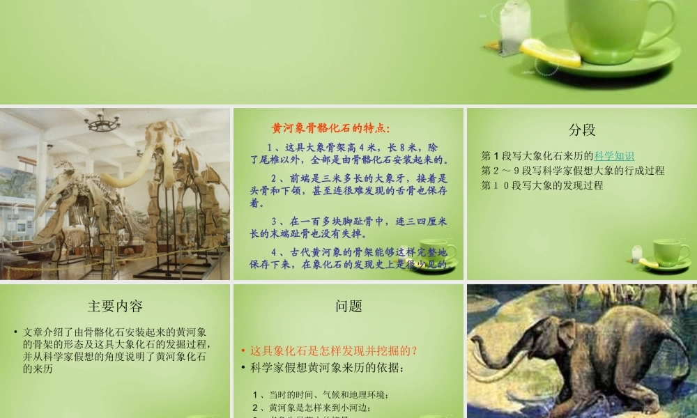 秋五年级语文上册《黄河象》课件1 北师大版-北师大版小学五年级上册语文课件