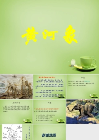 秋五年级语文上册《黄河象》课件1 北师大版-北师大版小学五年级上册语文课件