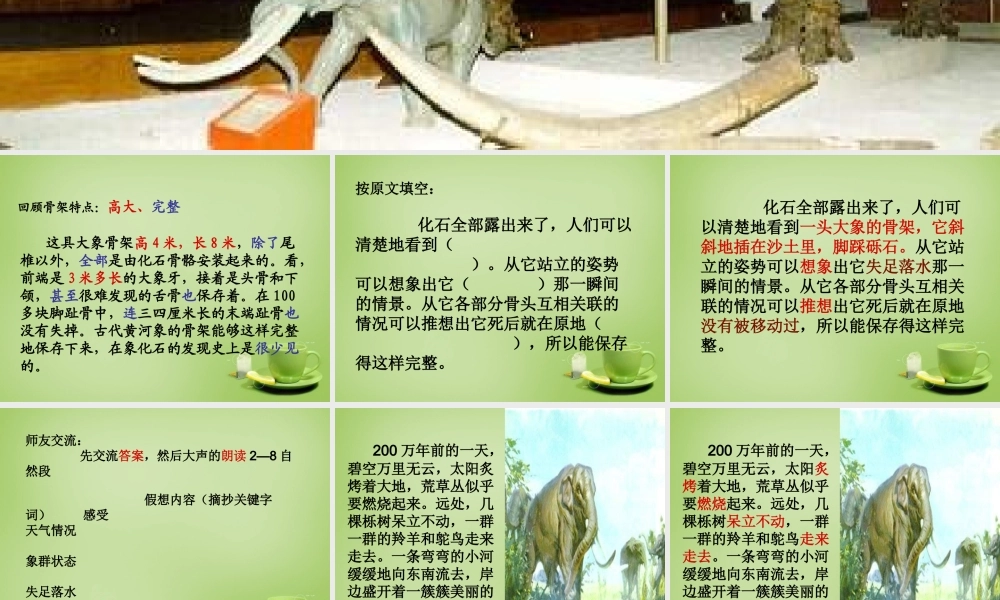 秋五年级语文上册《黄河象》课件2 北师大版-北师大版小学五年级上册语文课件