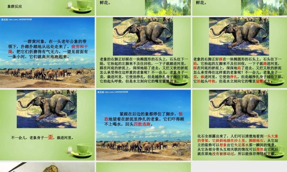 秋五年级语文上册《黄河象》课件2 北师大版-北师大版小学五年级上册语文课件