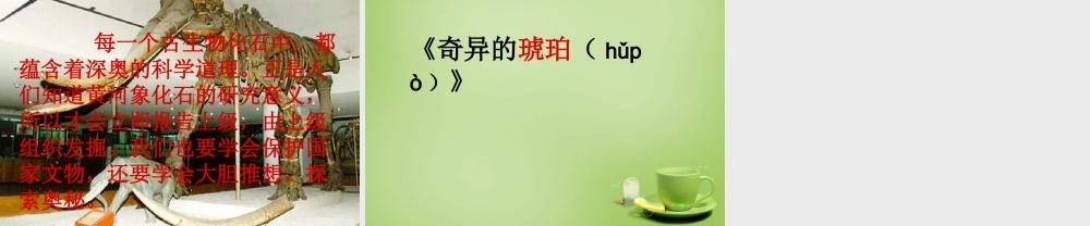 秋五年级语文上册《黄河象》课件2 北师大版-北师大版小学五年级上册语文课件