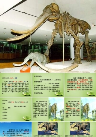 秋五年级语文上册《黄河象》课件2 北师大版-北师大版小学五年级上册语文课件