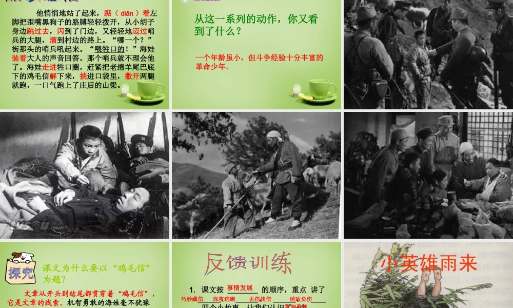 秋五年级语文上册《鸡毛信》课件1 北师大版-北师大版小学五年级上册语文课件