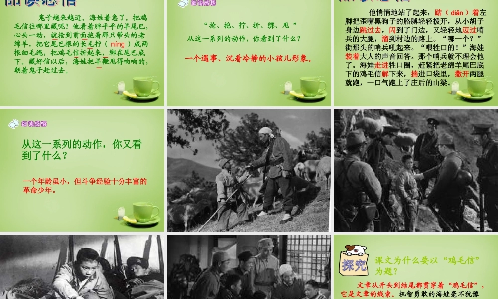 秋五年级语文上册《鸡毛信》课件4 北师大版-北师大版小学五年级上册语文课件