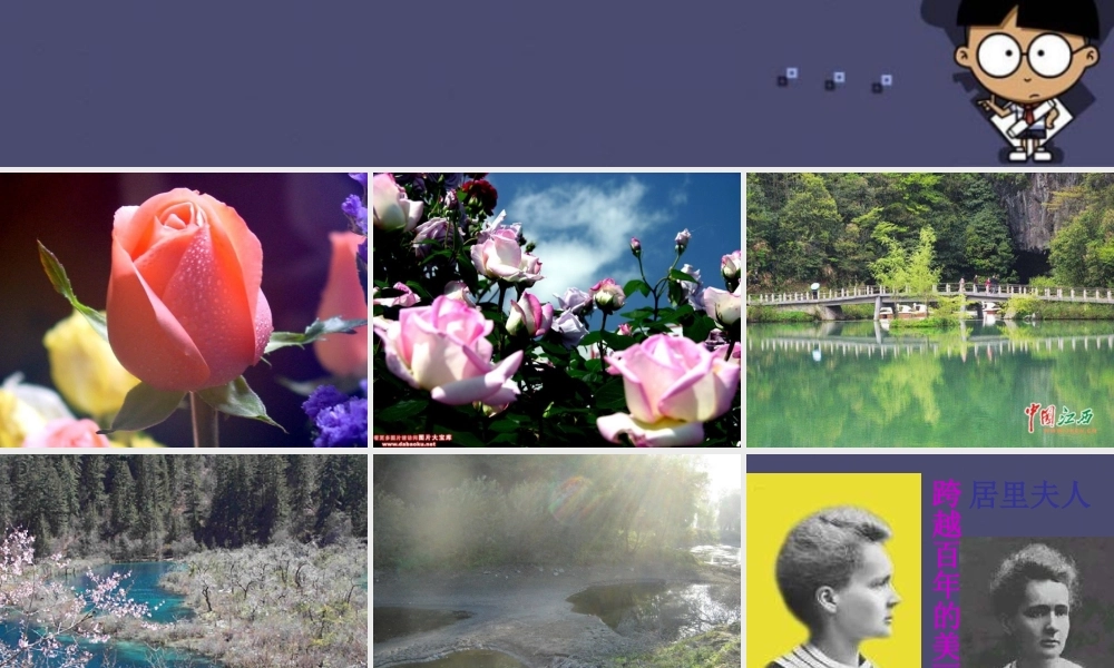 秋五年级语文上册《跨越百年的美丽》课件3 冀教版-冀教版小学五年级上册语文课件