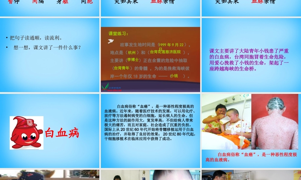 秋五年级语文上册《跨越海峡的生命桥》课件1 沪教版-沪教版小学五年级上册语文课件