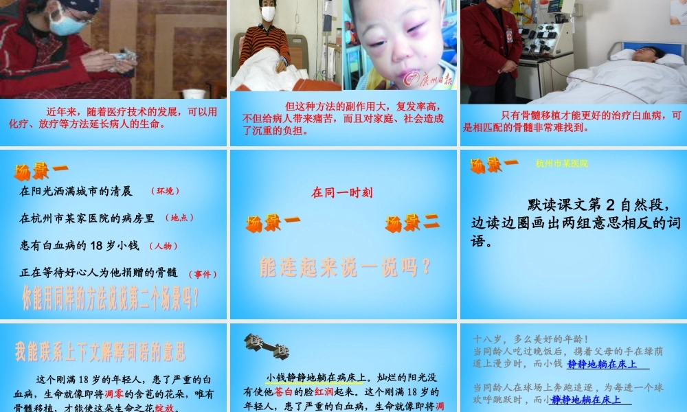 秋五年级语文上册《跨越海峡的生命桥》课件1 沪教版-沪教版小学五年级上册语文课件