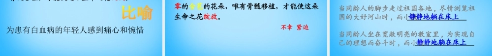 秋五年级语文上册《跨越海峡的生命桥》课件1 沪教版-沪教版小学五年级上册语文课件