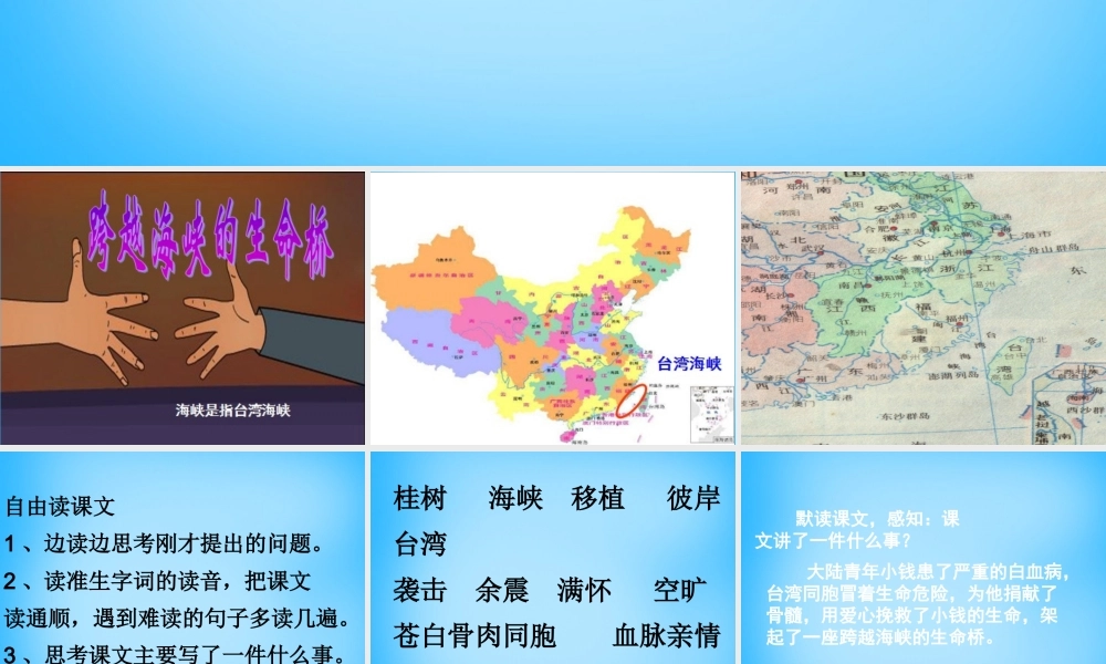 秋五年级语文上册《跨越海峡的生命桥》课件2 沪教版-沪教版小学五年级上册语文课件