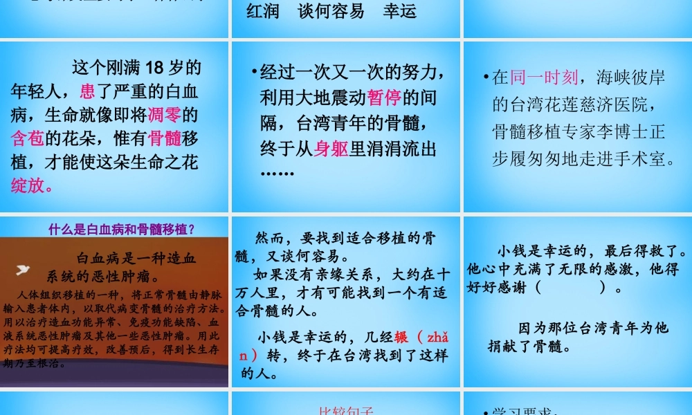秋五年级语文上册《跨越海峡的生命桥》课件2 沪教版-沪教版小学五年级上册语文课件
