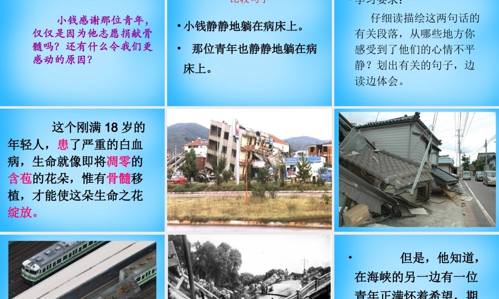 秋五年级语文上册《跨越海峡的生命桥》课件2 沪教版-沪教版小学五年级上册语文课件