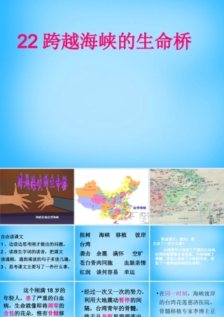 秋五年级语文上册《跨越海峡的生命桥》课件2 沪教版-沪教版小学五年级上册语文课件