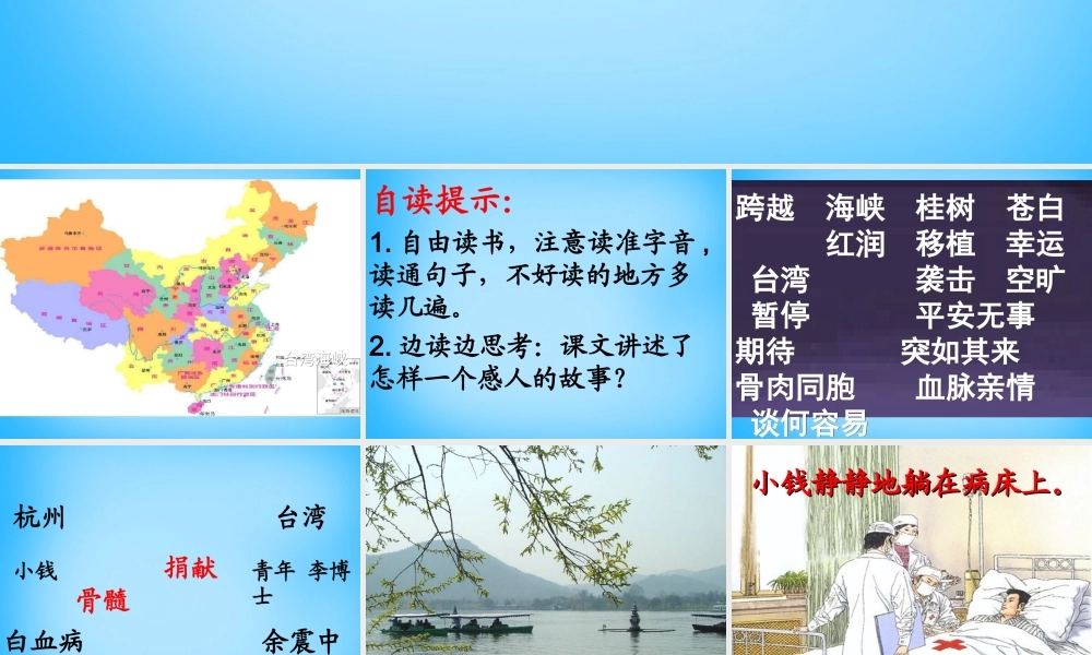 秋五年级语文上册《跨越海峡的生命桥》课件3 沪教版-沪教版小学五年级上册语文课件