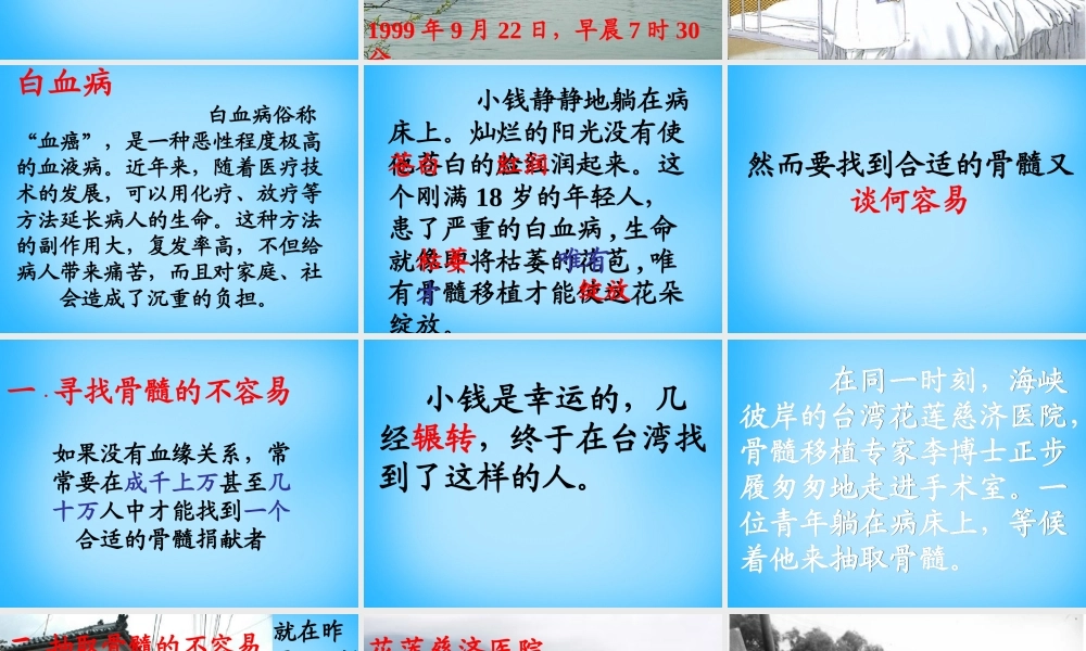 秋五年级语文上册《跨越海峡的生命桥》课件3 沪教版-沪教版小学五年级上册语文课件