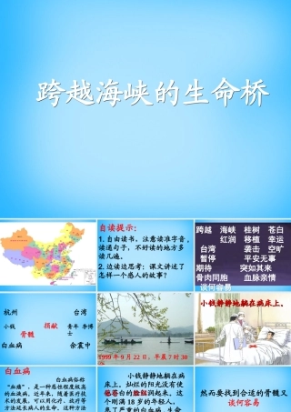秋五年级语文上册《跨越海峡的生命桥》课件3 沪教版-沪教版小学五年级上册语文课件