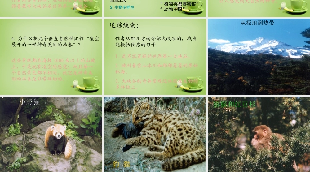 秋五年级语文上册《雅鲁藏布大峡谷》课件3 北师大版-北师大版小学五年级上册语文课件