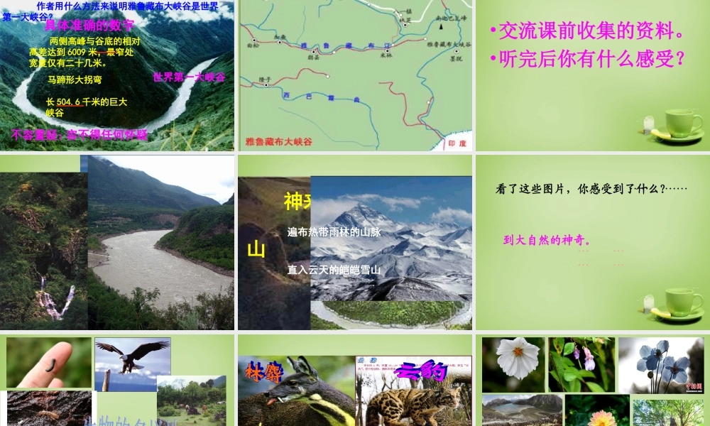 秋五年级语文上册《雅鲁藏布大峡谷》课件4 北师大版-北师大版小学五年级上册语文课件