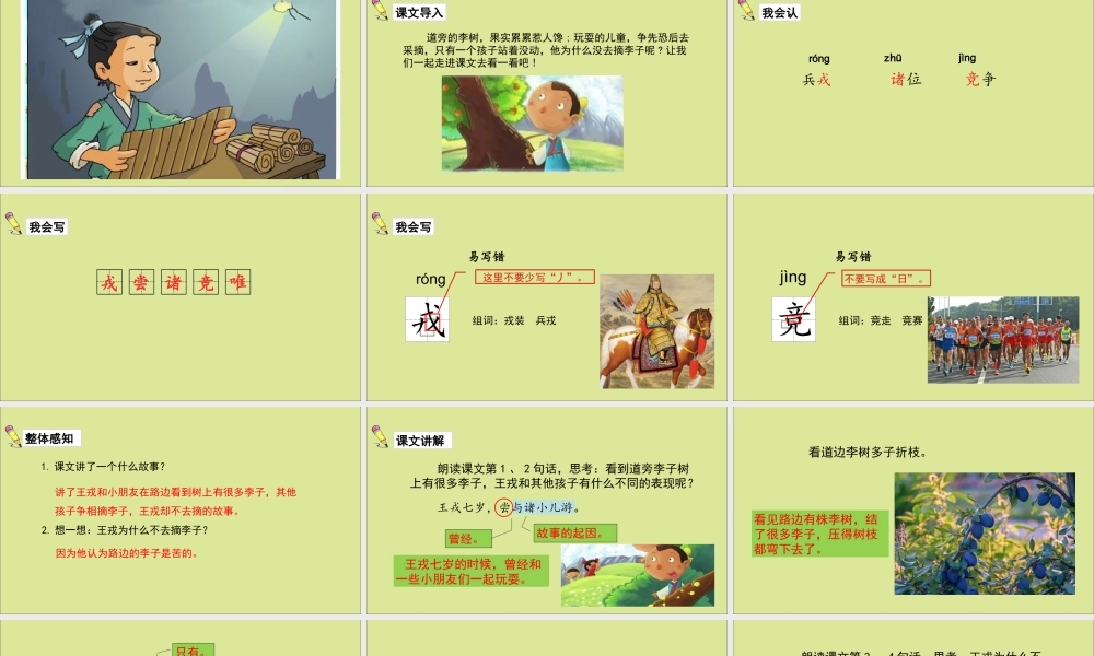 秋四年级语文上册 第八单元 25 王戎不取道边李教学课件 新人教版-新人教版小学四年级上册语文课件