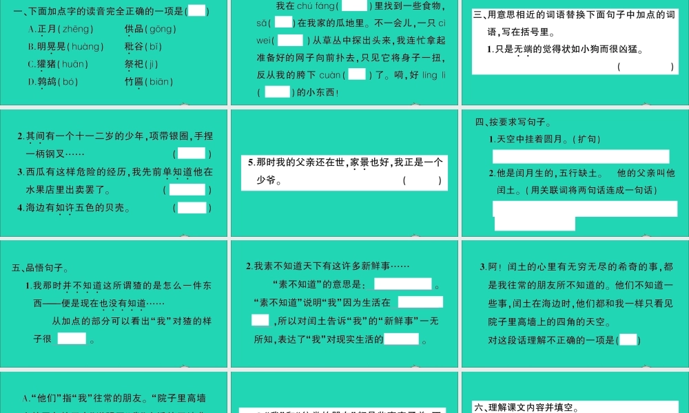 （广东地区）六年级语文上册 第八单元 24 少年闰土作业课件 新人教版-新人教版小学六年级上册语文课件