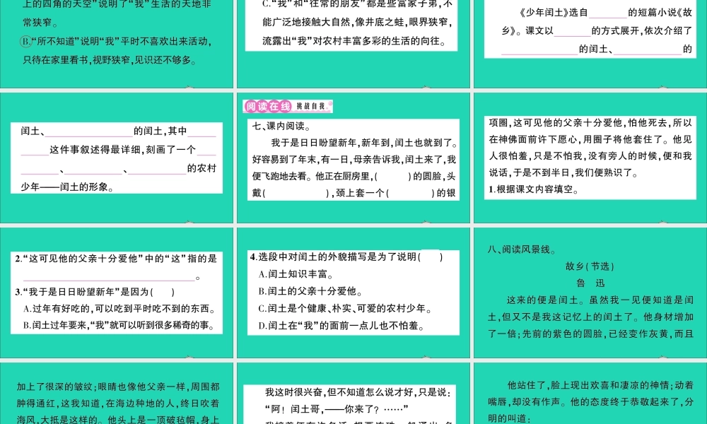 （广东地区）六年级语文上册 第八单元 24 少年闰土作业课件 新人教版-新人教版小学六年级上册语文课件