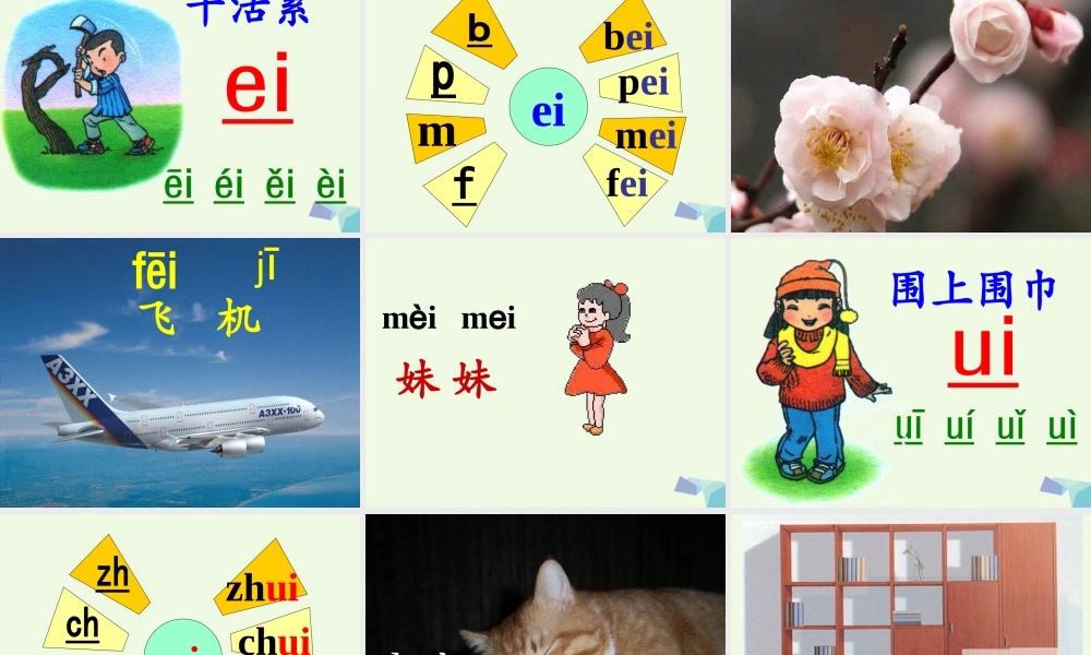 （秋级语文上册 ai ei ui课件1 湘教版-湘教级上册语文课件