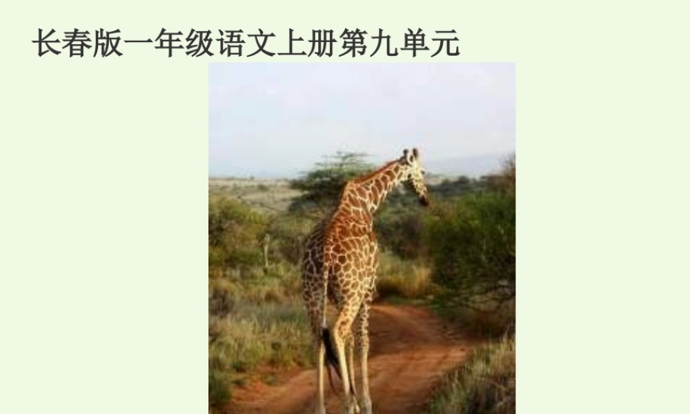 （秋季版）一年级语文上册 脖子的妙用课件1 长春版-长春版小学一年级上册语文课件