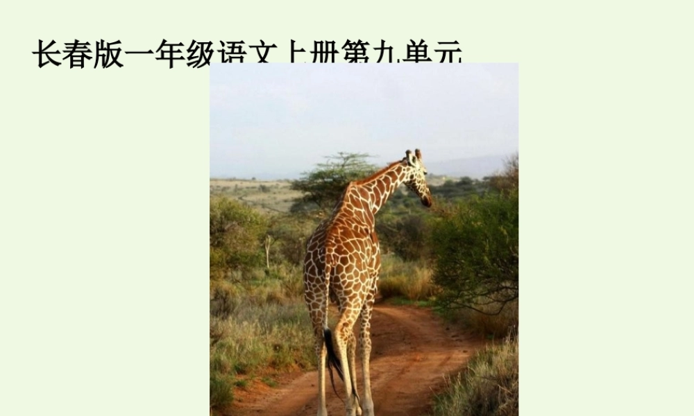 （秋季版）一年级语文上册 脖子的妙用课件2 长春版-长春版小学一年级上册语文课件