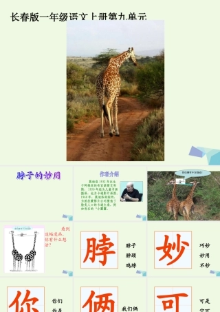 （秋季版）一年级语文上册 脖子的妙用课件2 长春版-长春版小学一年级上册语文课件