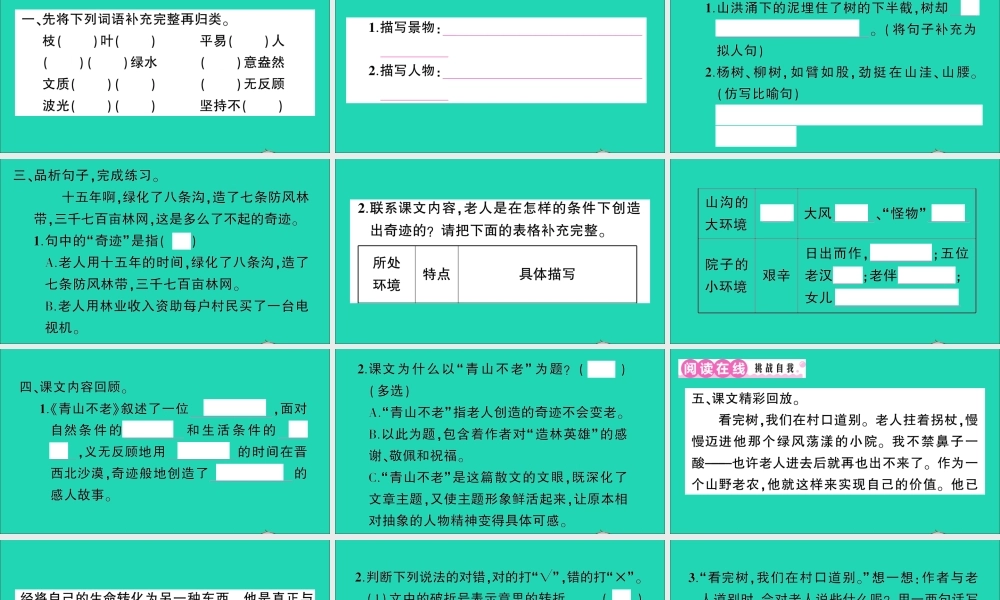 （广东地区）六年级语文上册 第六单元 19 青山不老作业课件 新人教版-新人教版小学六年级上册语文课件