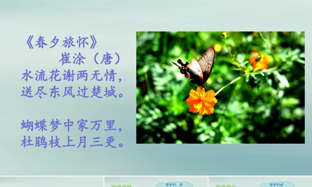 秋四年级语文上册 第二单元 8 蝴蝶的家教学课件 新人教版-新人教版小学四年级上册语文课件