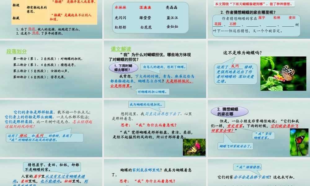 秋四年级语文上册 第二单元 8 蝴蝶的家教学课件 新人教版-新人教版小学四年级上册语文课件