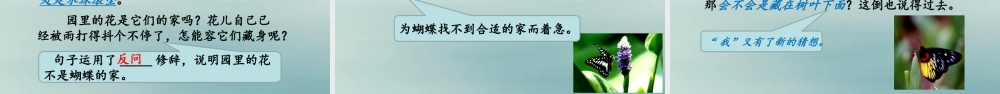 秋四年级语文上册 第二单元 8 蝴蝶的家教学课件 新人教版-新人教版小学四年级上册语文课件
