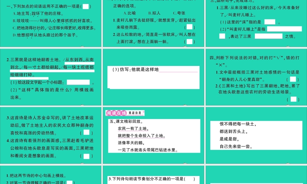 （广东地区）六年级语文上册 第六单元 20 三黑和土地作业课件 新人教版-新人教版小学六年级上册语文课件