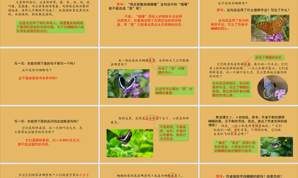 秋四年级语文上册 第二单元 8 蝴蝶的家教学课件 新人教版-新人教级上册语文课件